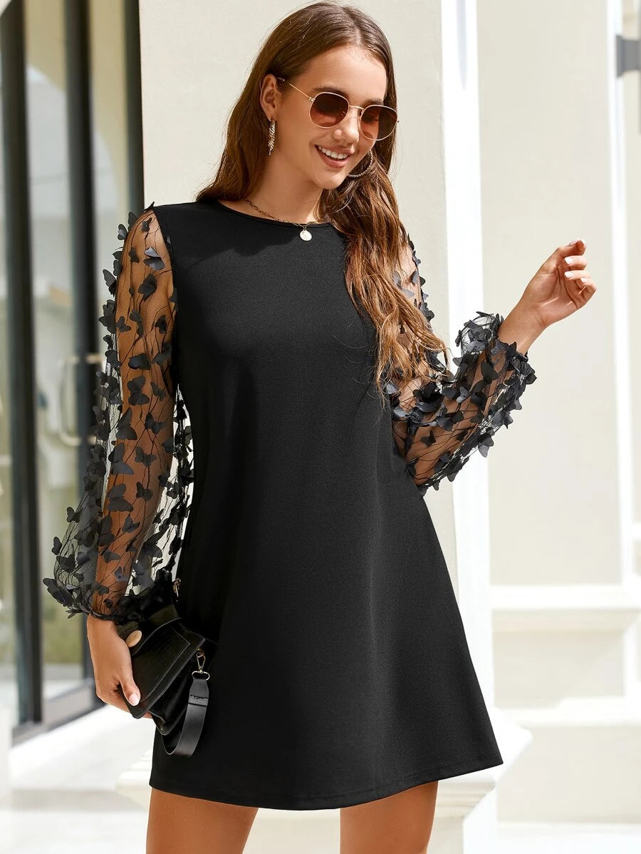 CLASI – Minimalist Sheer Sleeve Casual Dress