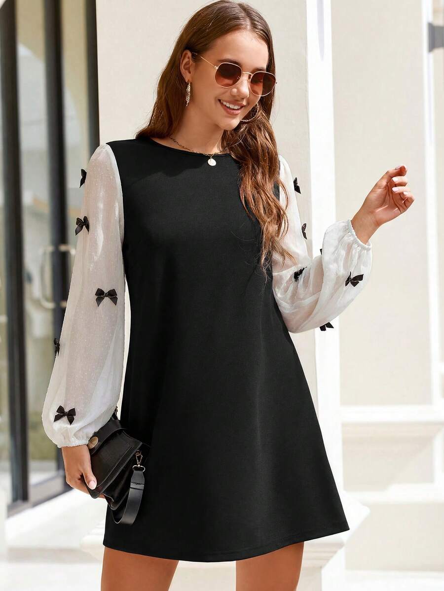 CLASI – Minimalist Sheer Sleeve Casual Dress