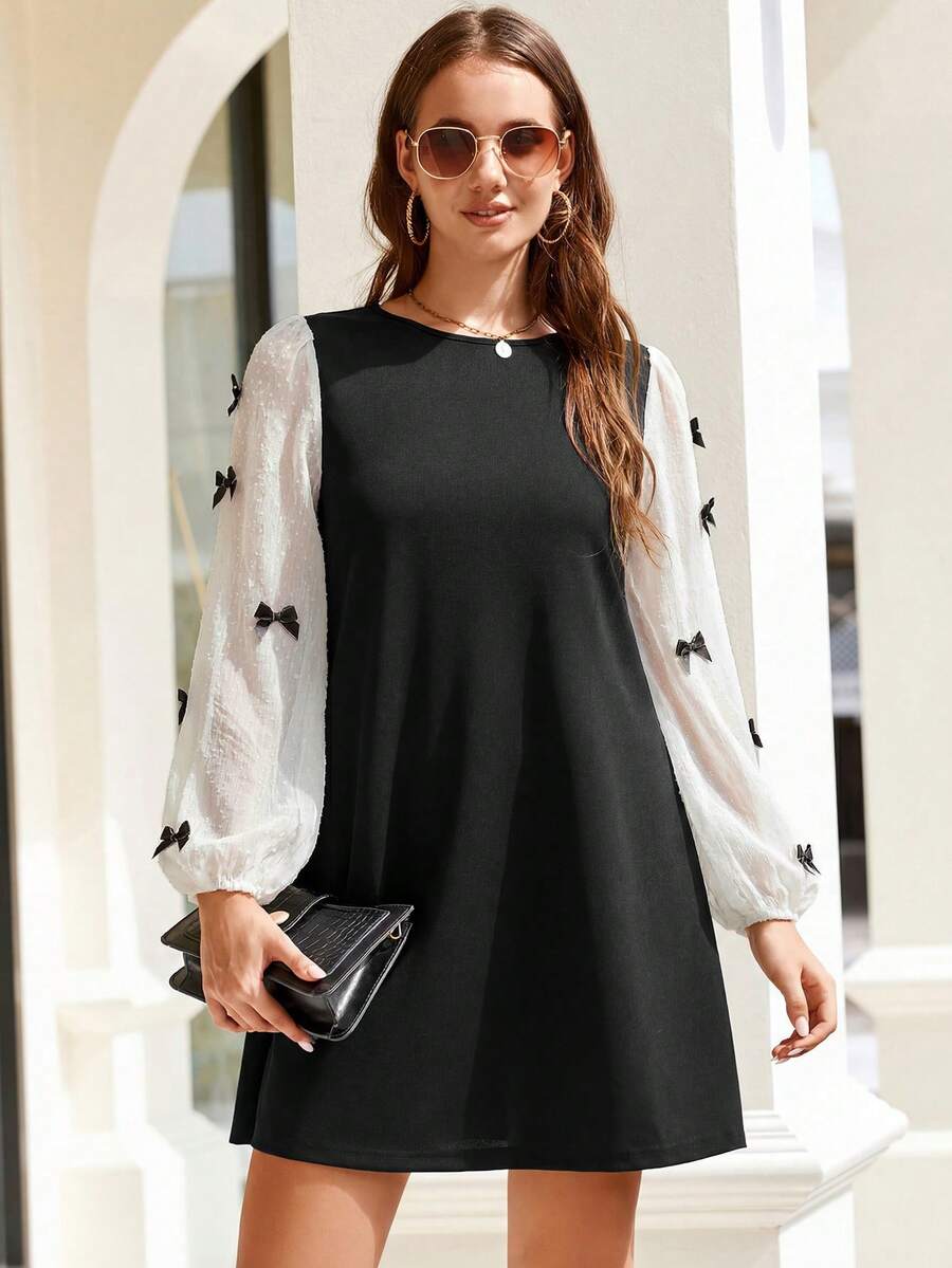 CLASI – Minimalist Sheer Sleeve Casual Dress